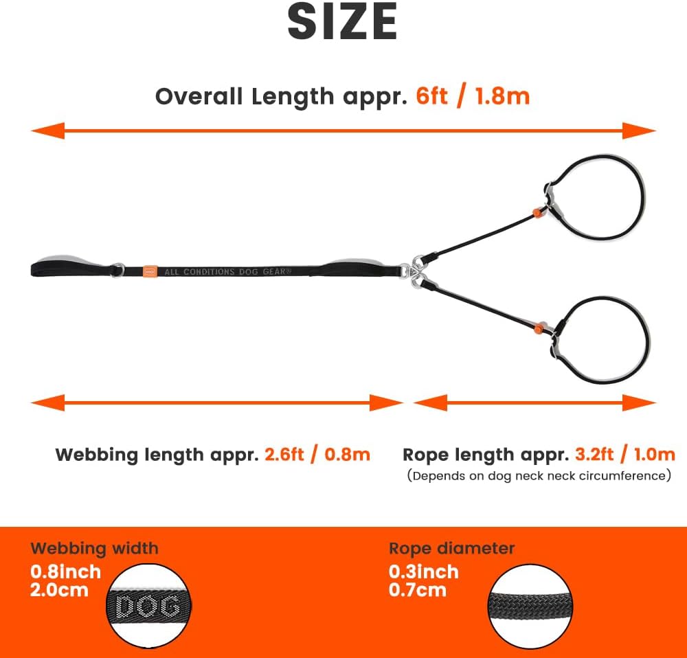 Howgo Double Slip Leash Slip Lead with Two Handles| Dual Dog Slip Lead for 2 Dogs,360° Swivel No Tangle | Dog Training Collar | Double Clip Leash Coupler and Splitter (Black, 6FT)