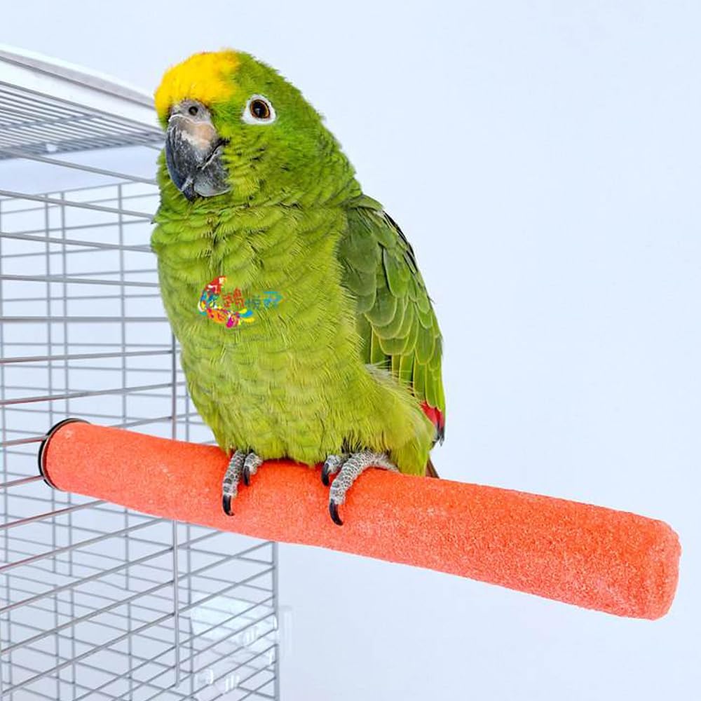 10 Pcs Parrot Perch Stand Bird Perch Stand Toy Colorful Paw Grinding Stick Cage Wooden Parakeet Perch Accessories for Cockatiels