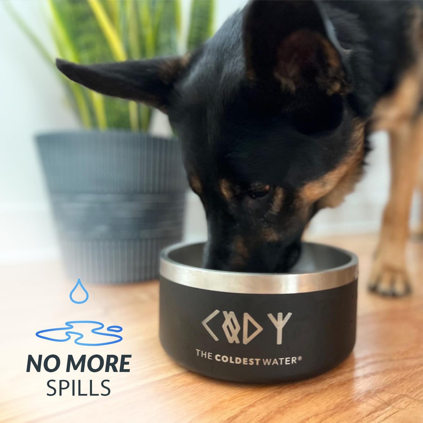 Coldest Dog Bowl - Anti Rust Metal, Non Slip, 3 Layers Insulated Stainless Steel Dog Bowls - Spill Proof & Heavy Duty - Water Bowl for Dogs, Cats, Dish Washer Safe (21 oz,Saturn's Moon Purple Glitter)