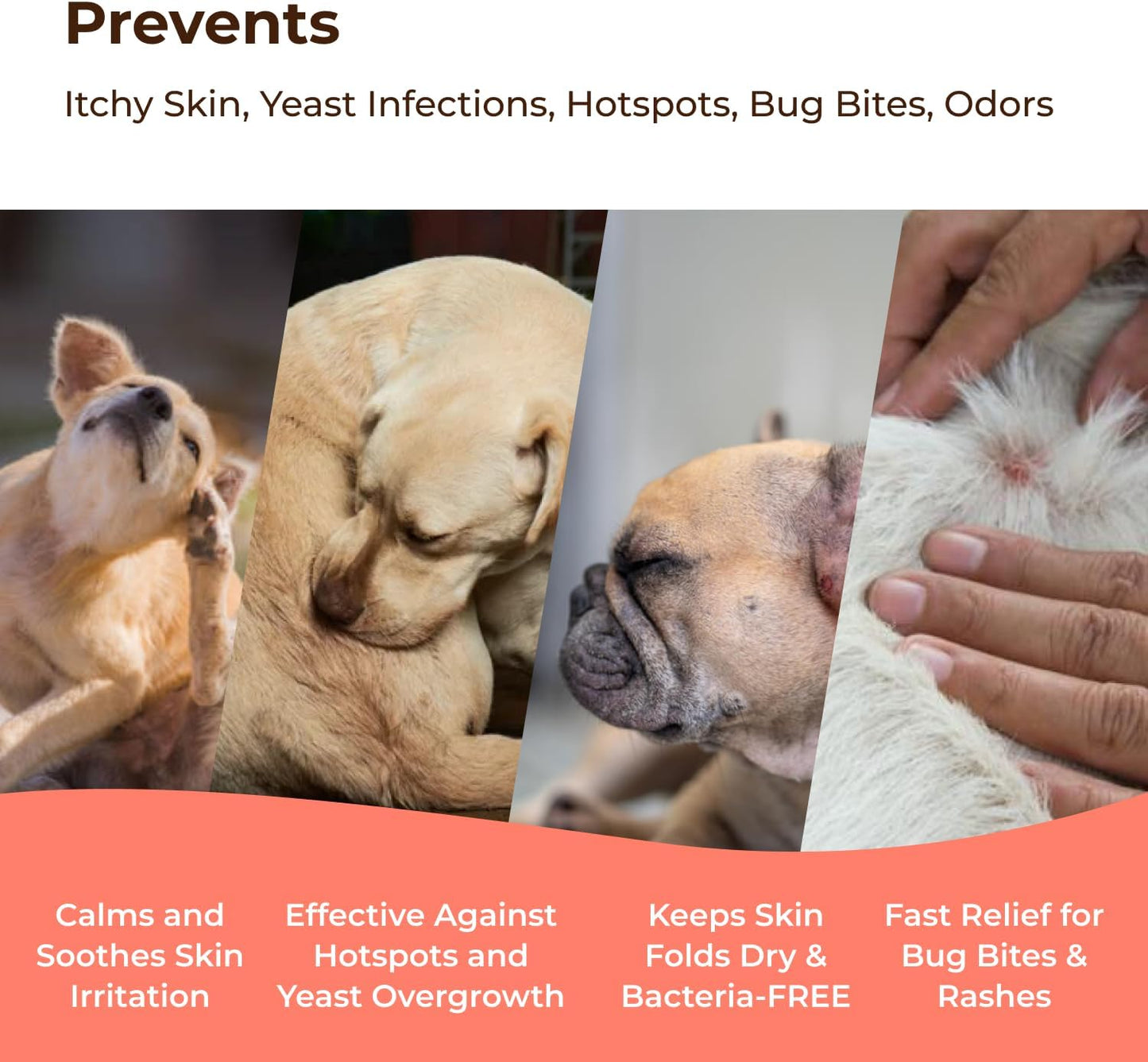 COAT DEFENSE Preventative Powder | Made in USA | 3.5oz Waterless Dog Shampoo & Pet Deodorizer for Smelly Dogs | Provides Anti Itch Relief | Dog Shampoo for Dry Itchy Skin & Smelly Dogs