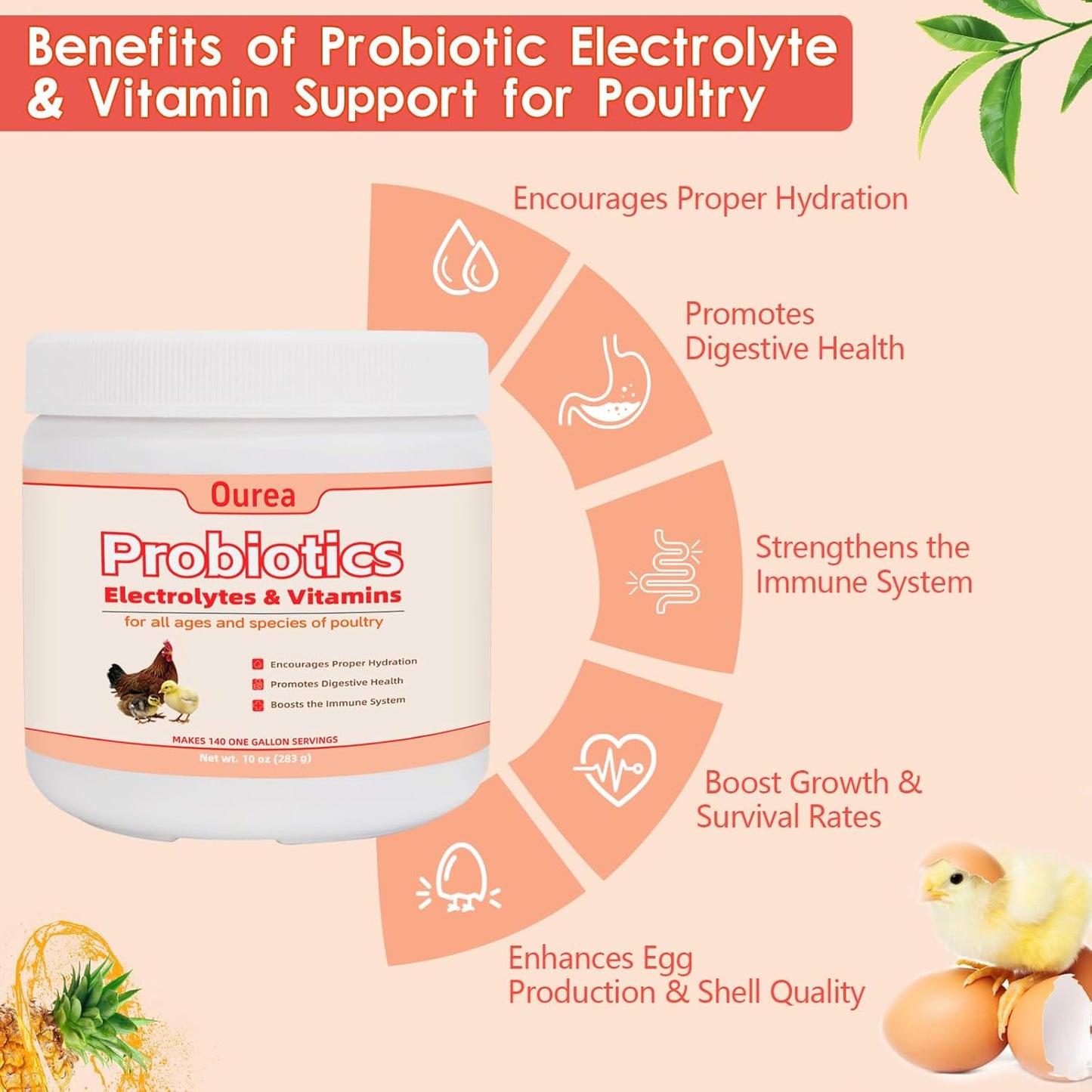 Chicken Electrolyte, Vitamin & Probiotic Supplement - Support Hydration Digestion Immunity Egg Production – Poultry Supplement for Chickens, Ducks, and All Ages of Birds – All-Season Use,10oz Powder