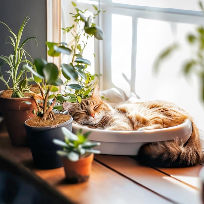 MAQIHAN Natural Coconut Husk Fiber - Organic Coconut Husk Silk for Plants,Bird Nesting Material,Organic Coco Coir for Plants,Perfect for Greenery Covering,Home Decoration,Gardening,Outdoor Use