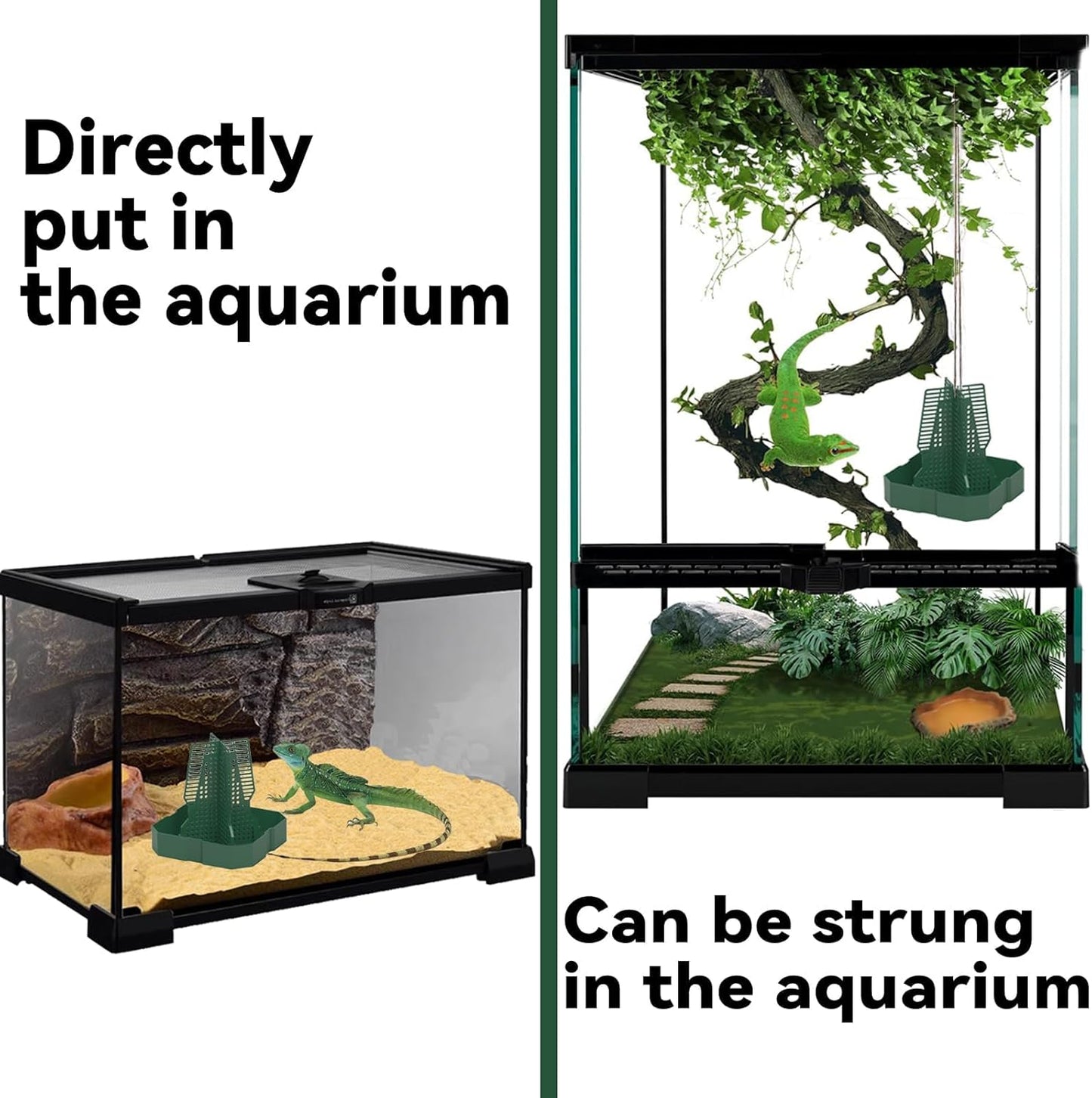 Chameleon Feeder Bearded Dragon Feeder for Mounted Insect with Rope and Tweezers, Tank and Aquarium Accessories for Lizard, Bearded Dragon, Gecko, Frog(Large)