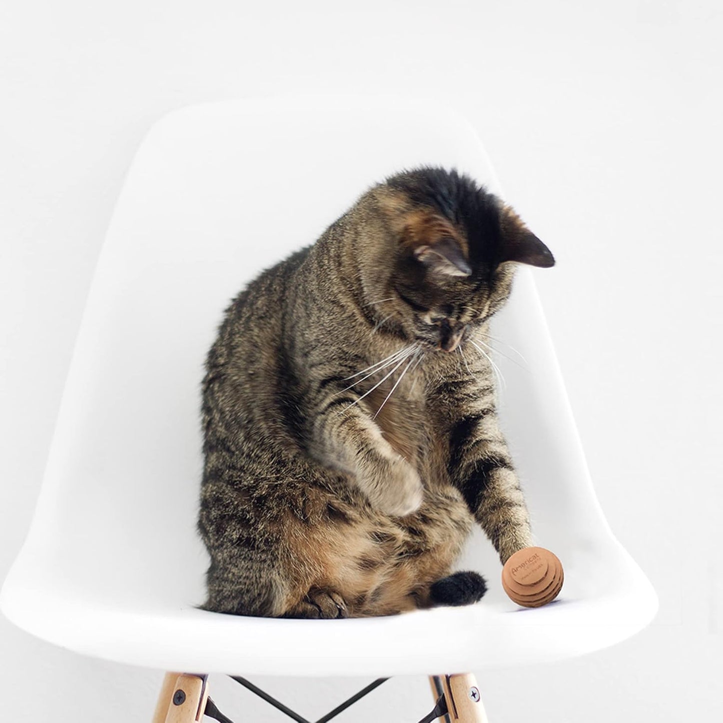 Cat Ball Toys by Americat – Made in USA – Safe Cardboard Cat Toys – for Interactive and Independent Play, Exercise & Stress Relief for All Breeds & Ages (Variety Pack of 3 Balls)