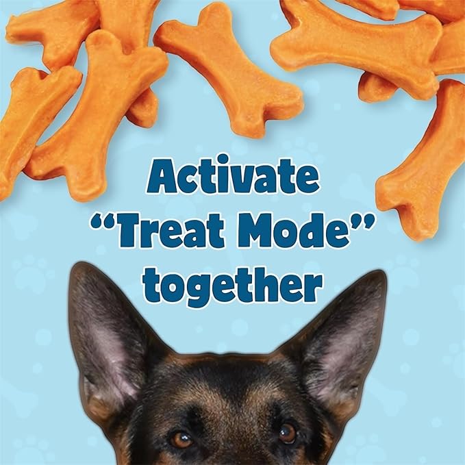 Treaty Healthy Pumpkin Puree Chicken Dog Treats 16 oz Baked Bone Shape Soft Chews All Natural Human Grade Training Rewards with Real Chicken and Pumpkin Digestive Support