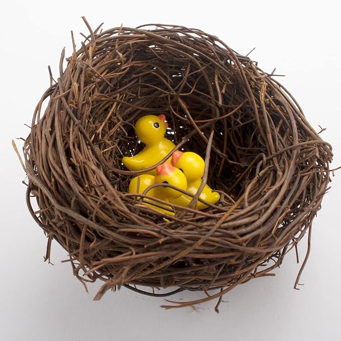 Exasinine 18 Pcs 3'' Mini Artificial Bird Nest for Crafts, Easter, Party, Wedding, Patio Garden, Succulent Planter, Moss Landscape, DIY Terrarium (3 Inches)