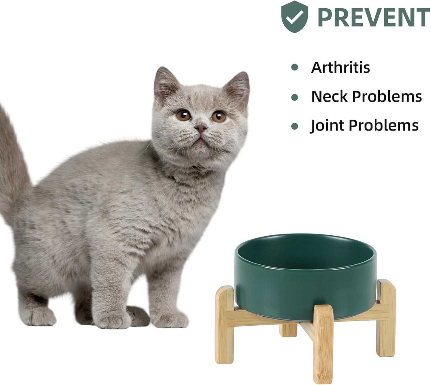 Ceramic Raised Dog and Cat Bowl Set, 2 Heights Elevated Stand, Food and Water Bowl for Small Breed Dogs, Cats, Kitty, Weighted Dog Dishes, Pet Bowls(5.1'',13.5oz, Green)