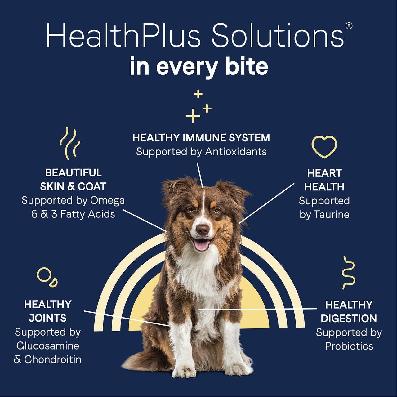 Canidae Pure Limited Ingredient Premium Adult Dry Dog Food, Real Wild Boar & Garbanzo Bean Recipe, 4 lbs, Grain Free