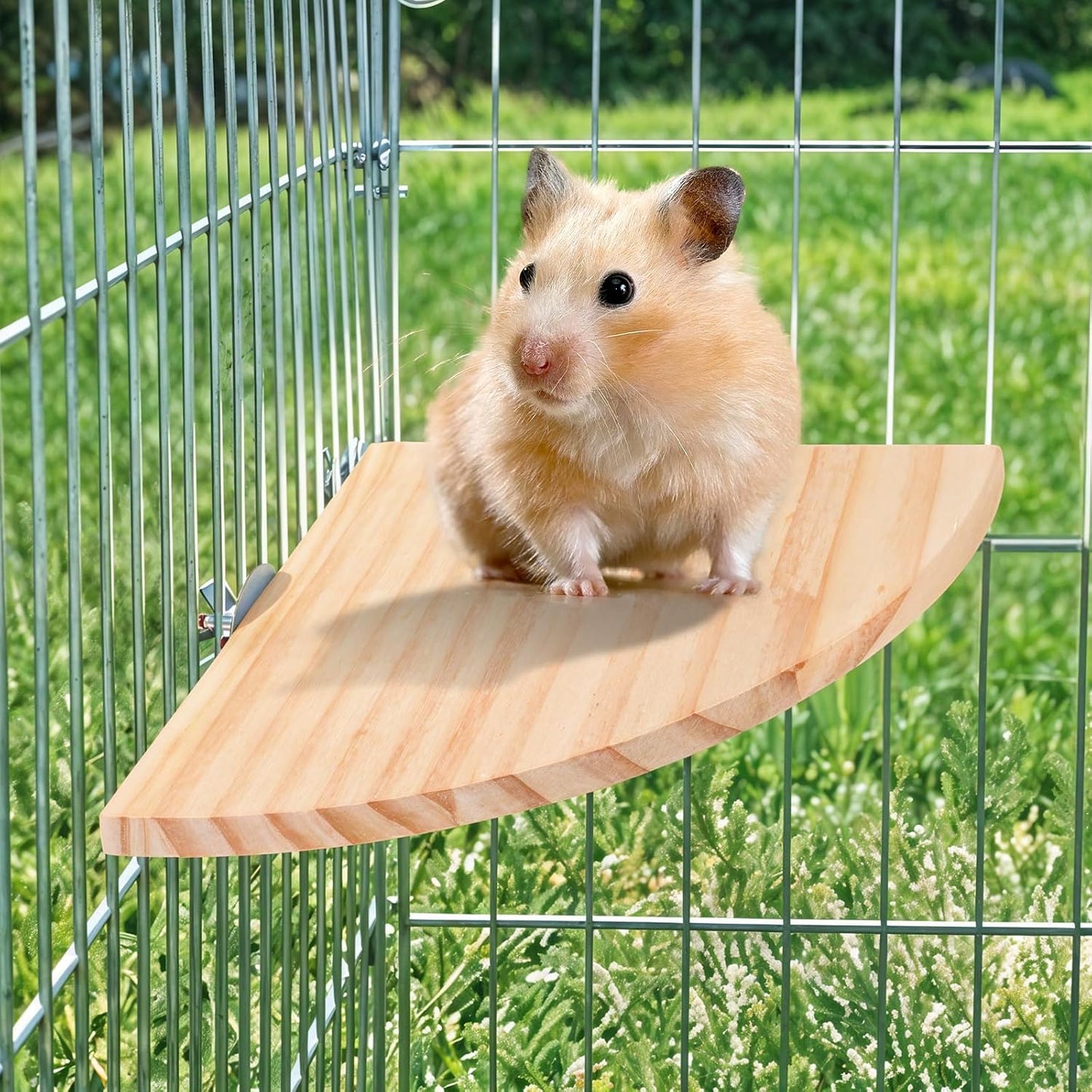 Bird Perch Platform Stand Wooden Parrot Perch Corner 5.9 Inches Fan Shape Playground Cage Accessories Parrot Stand Flat Perches for Bird Cages Corner Shelf for Birds Parrots Hamster Gerbil