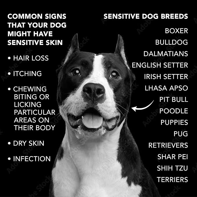 Pride and Groom The Sensitive One Dog Shampoo – All Natural Blend of Essential Oils & Gentle Ingredients for Puppies & Dogs with Sensitive Skin & Coats to Soothe and Regulate Skin & Follicles – 16oz