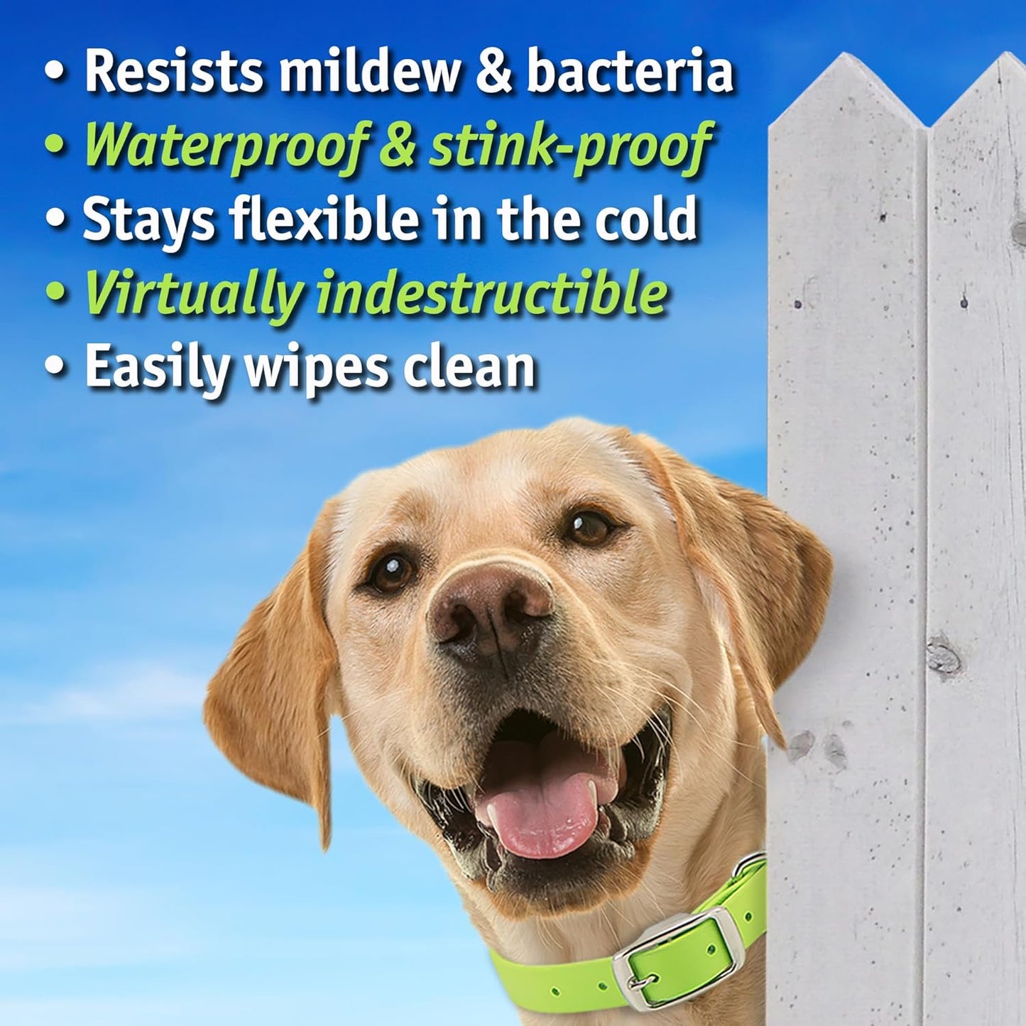 Biothane Custom Dog Collar – Waterproof, Stink-Proof Personalized Collar with Name & Phone Number – Durable, Many Sizes and Colors – Assembled in USA (Lilac Purple)