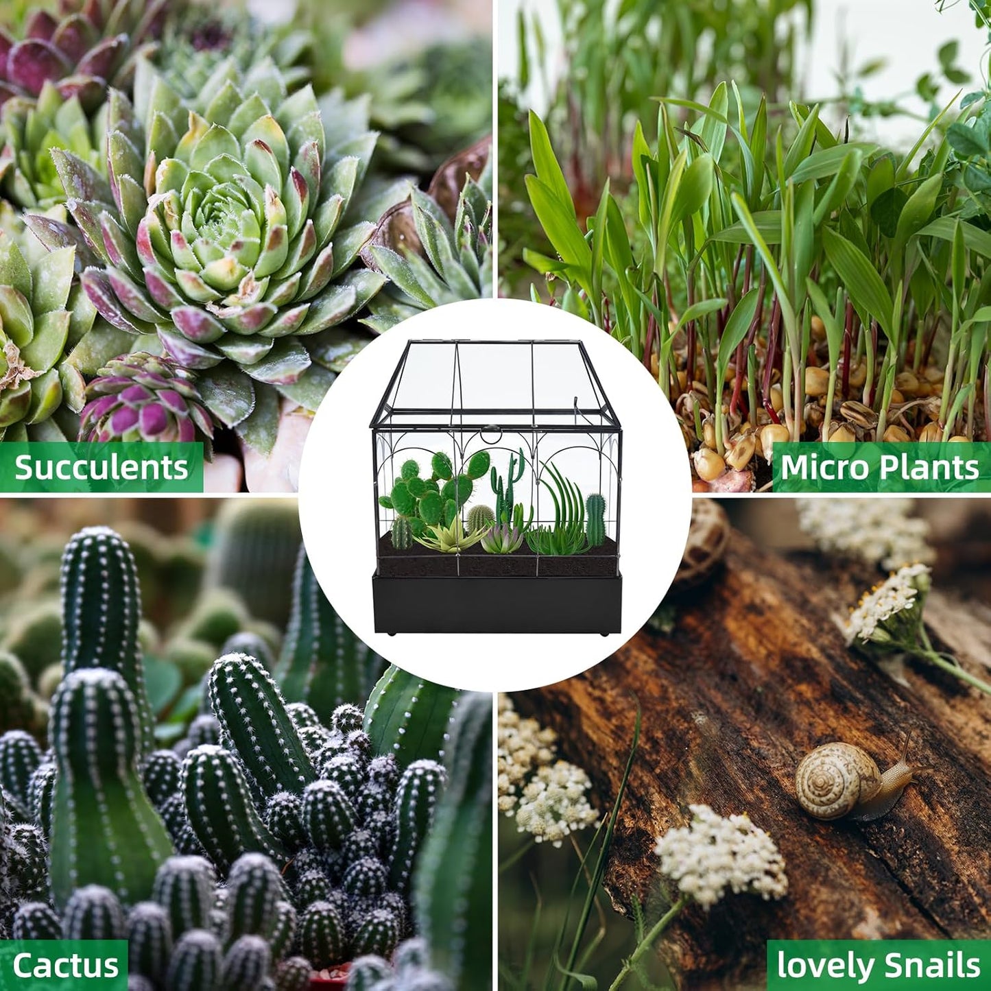HighFree Glass Terrarium with Metal Tray, Glass Greenhouse Terrarium Kit for Succulents, Cacti, Snails, Spiders, and Miniature Reptiles, Black (Large-9.45" L x 5.7" W x 11.8" H)