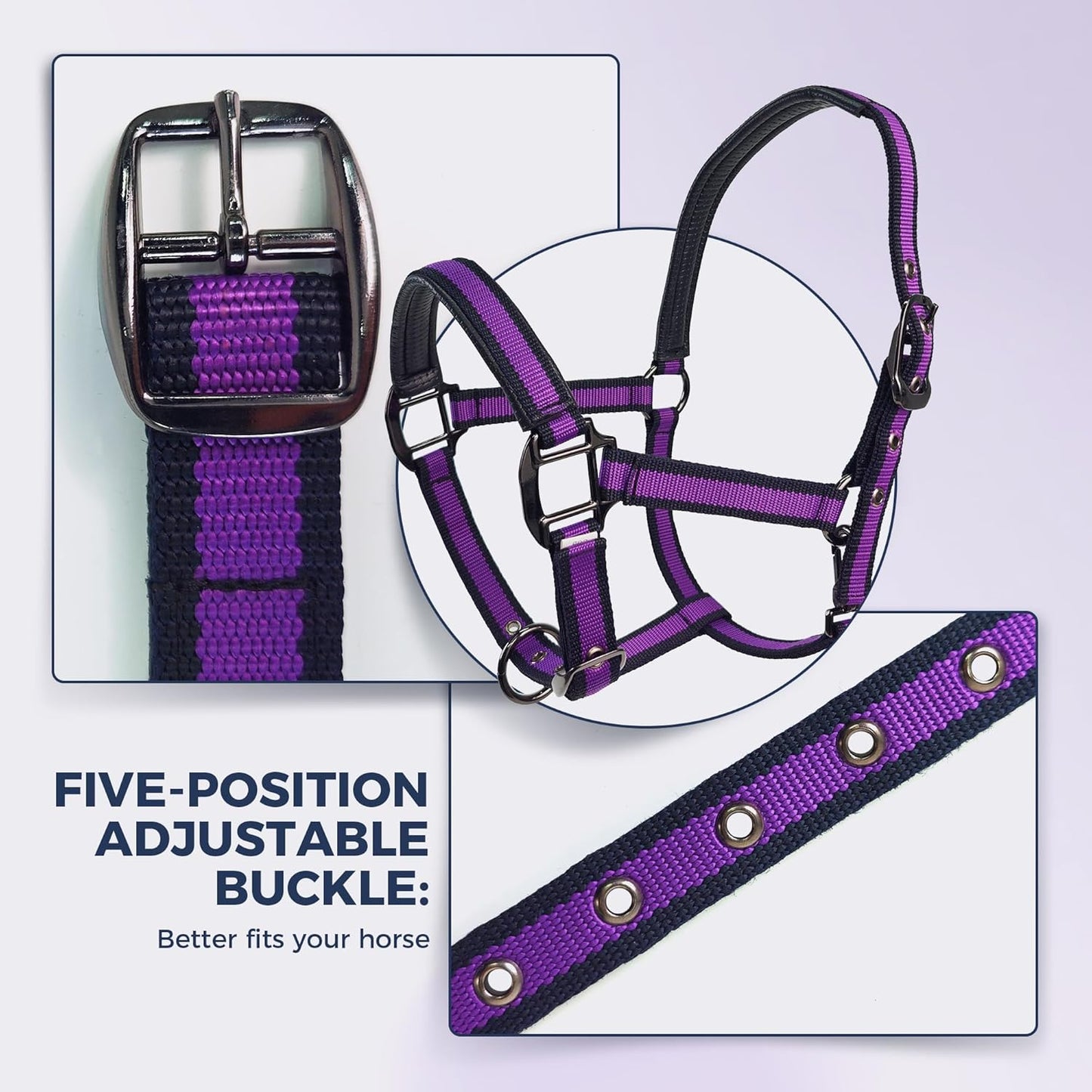 JWODVNTH Adjustable Horse Halter with PP Webbing, Durable Horse Halters with Zinc Alloy Hardware, Horses Training Equipment to Prevent Friction for Training, Competitions & Daily