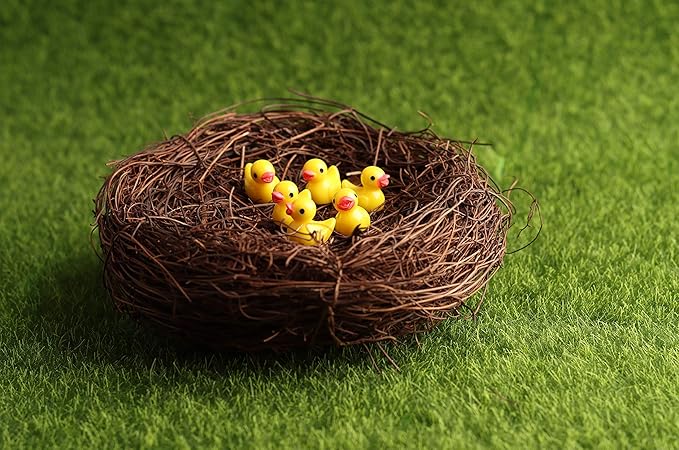 Exasinine 10 Pcs 5.5'' Artificial Bird Nest for Crafts, Easter, Party, Wedding, Patio Garden, Succulent Planter, Moss Landscape, DIY Terrarium and Spring Vignettes (5.5 Inches)