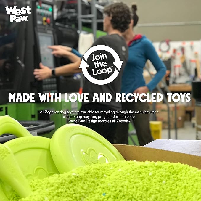 WEST PAW Design, Toy Dog Qwizl Aqua Small