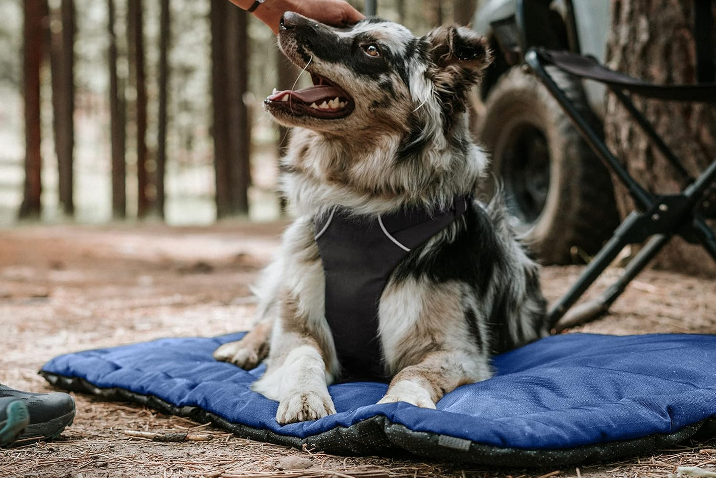 K9 Ballistics Tough Ripstop Dog Crate Pad - Durable & Machine Washable with Non-Skid Bottom and 120-Day Warranty, Fits 42" Wire Crates - Large, Sandstone
