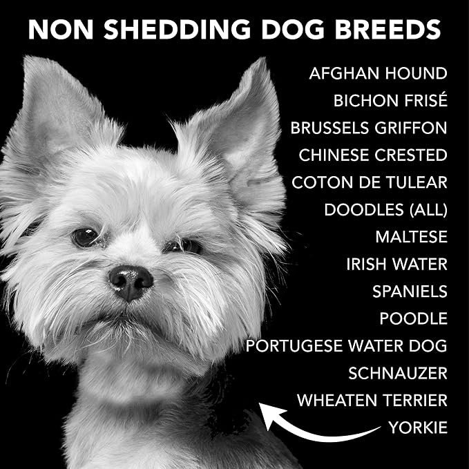 Pride and Groom The Non Shedder | Dog Grooming Shampoo For Doodles and Dogs that Do Not Shed | Tearless All Natural Body Wash with Essential Oils & Coat-Specific Ingredients that Enhance Shine – 128oz