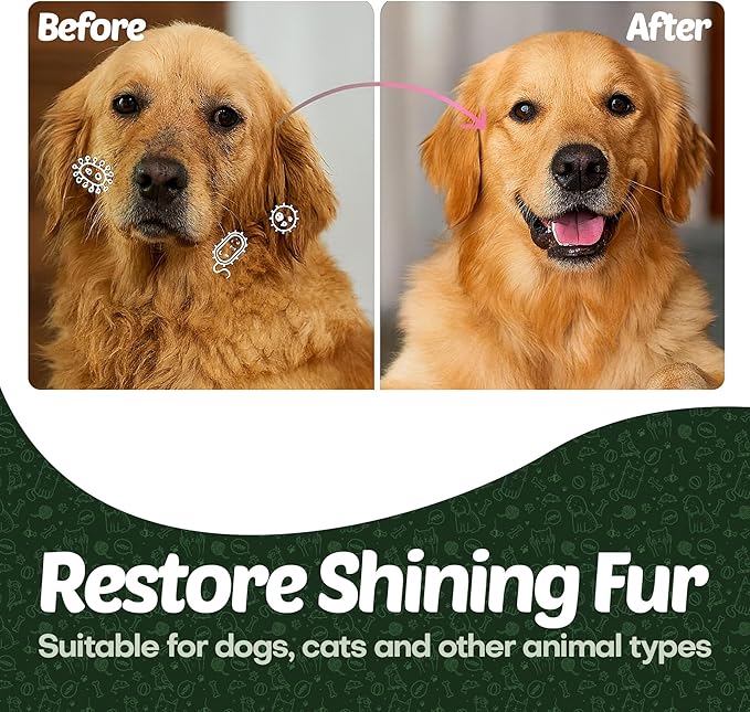 400 Dog Wipes for Paws and Butt Ears Eyes | XL 8X8 Organic Pet Wipes for Dogs | Lavender Scent Dog Wipes Cleaning Deodorizing | Extra Thick Paw Wipes for Dogs Cats Pets | +4 Bonus Glove Wipes