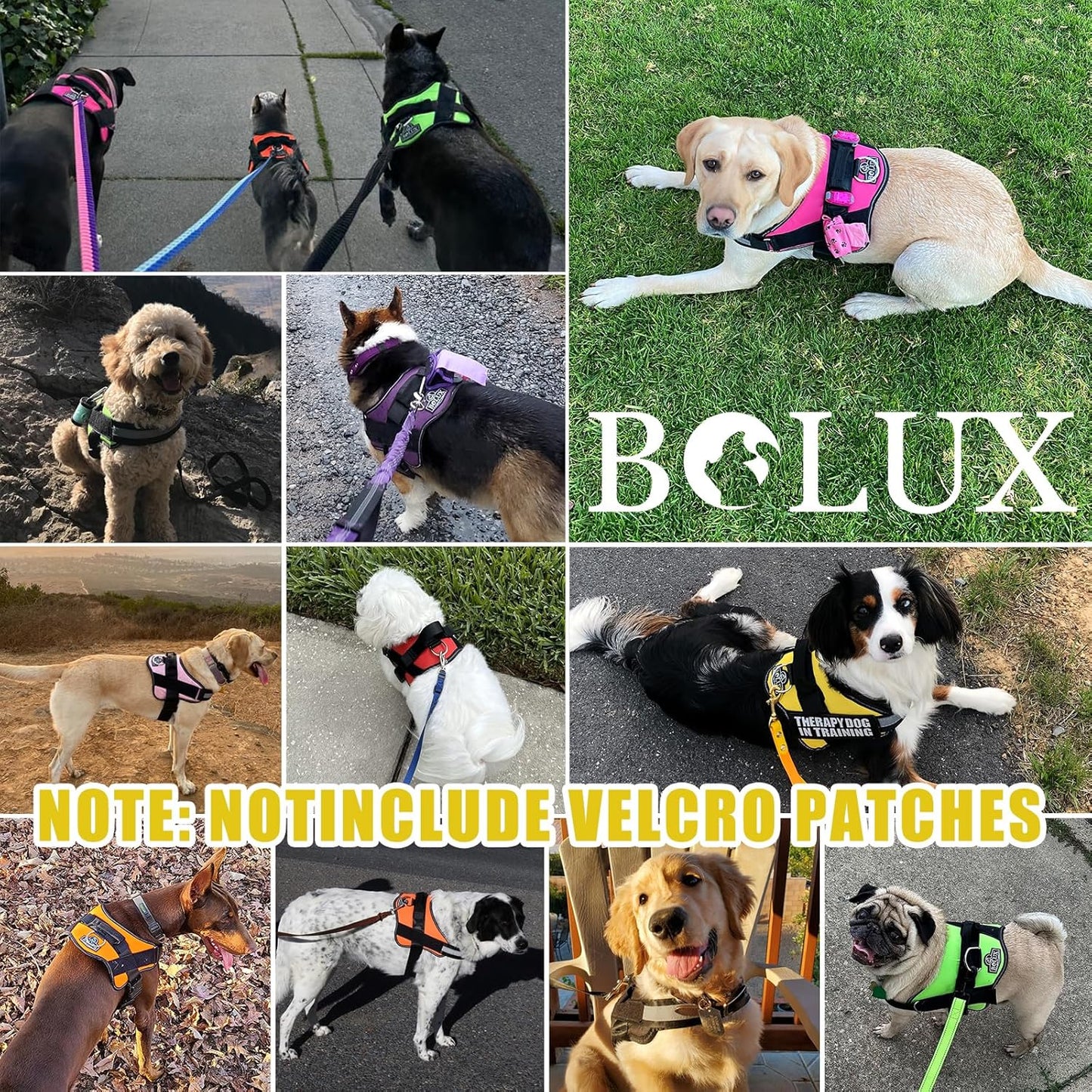 Bolux Dog Harness, No-Pull Reflective Dog Vest, Breathable Adjustable Pet Harness with Handle for Outdoor Walking - No More Pulling, Tugging or Choking (X-Small (Pack of 1), Watercolour)