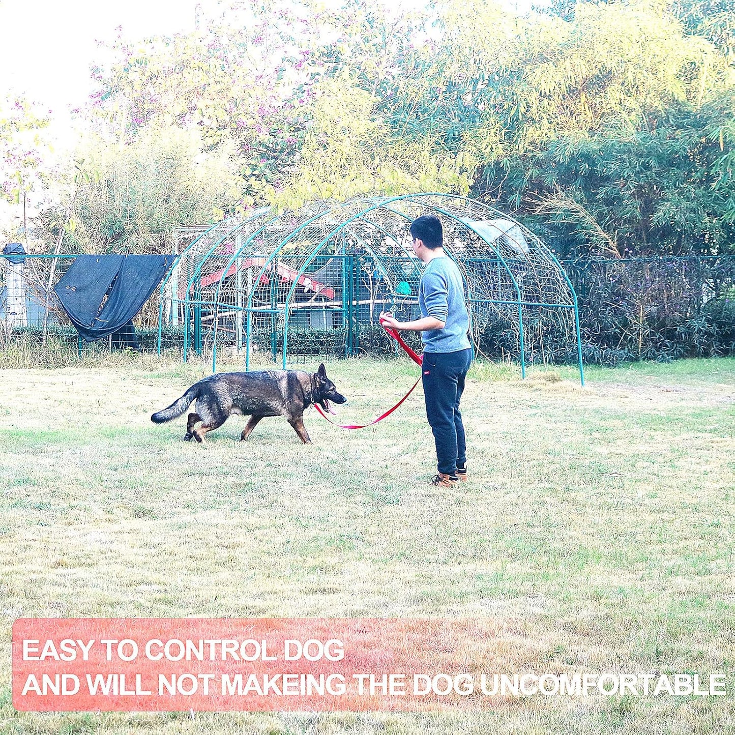 Dog/Puppy Obedience Recall Training Agility Lead - 15ft 20ft 30ft 40ft 50ft Training Leash - Great for Training, Play, Camping, or Backyard(Red,40 Feet)