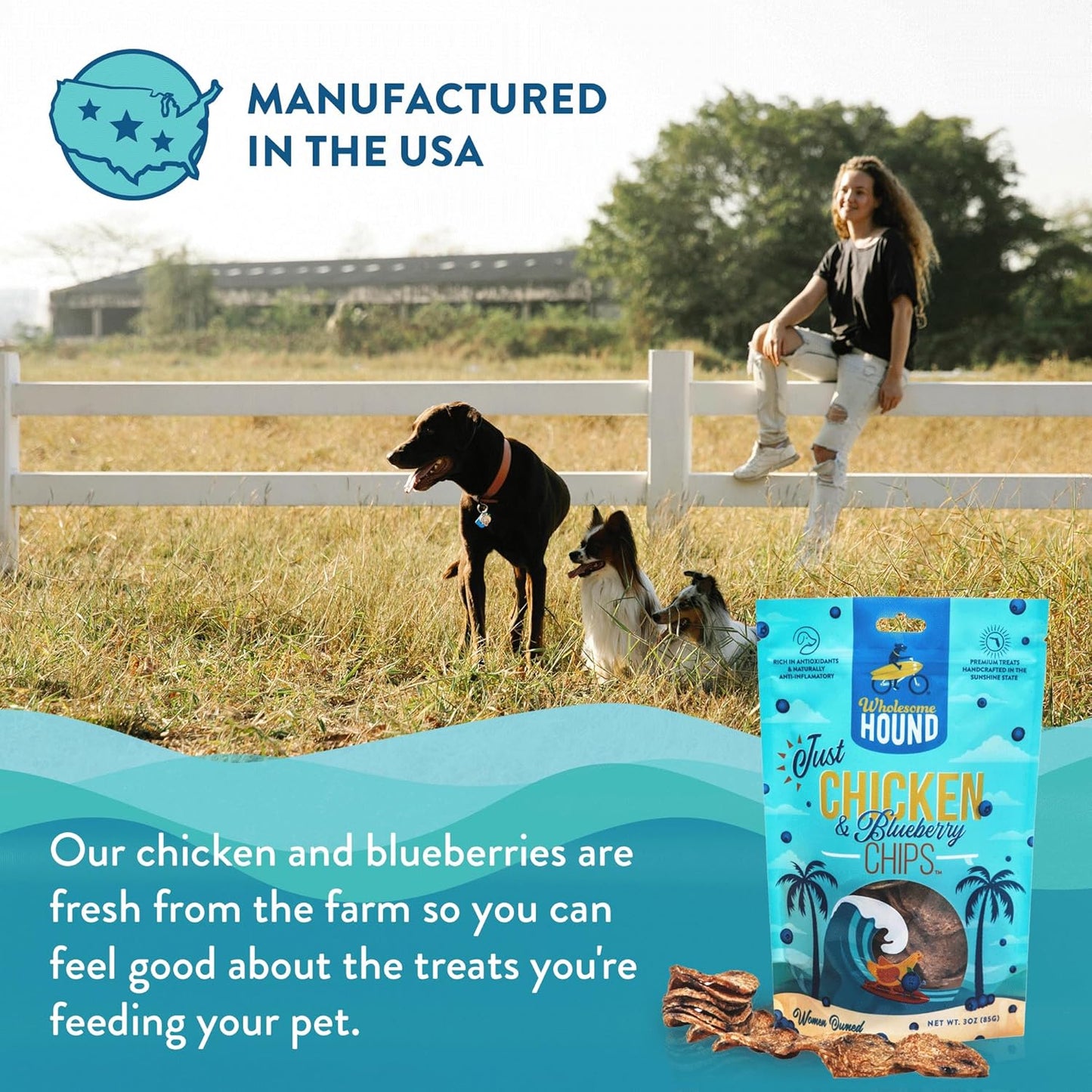 Chicken & Blueberry Chips – 2 Simple Ingredient Dog Treats, All Natural & Healthy Training Snacks for Small, Medium & Large Breeds, Puppies – High Protein, Made in USA 3oz