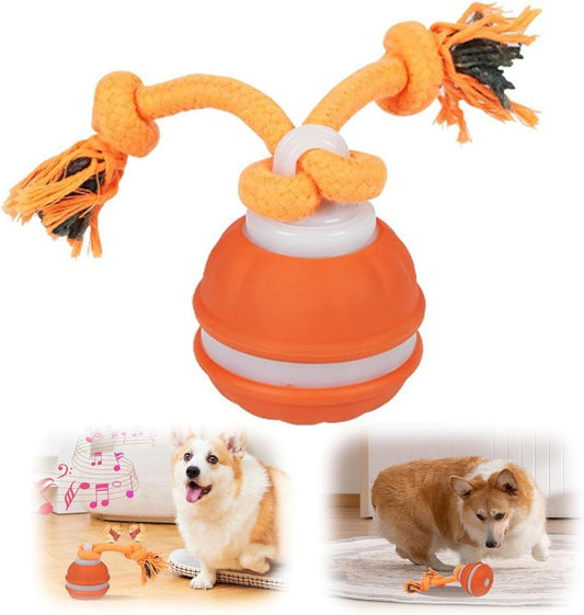 2026 New Interactive Pet Toy Ball, Smart Interactive Ball for Cats & Dogs, Electric Rolling Pet Toy Ball, Rechargeable Interactive Cat Toys for Bored Indoor Cats Kittens to Keep Busy (Orange)