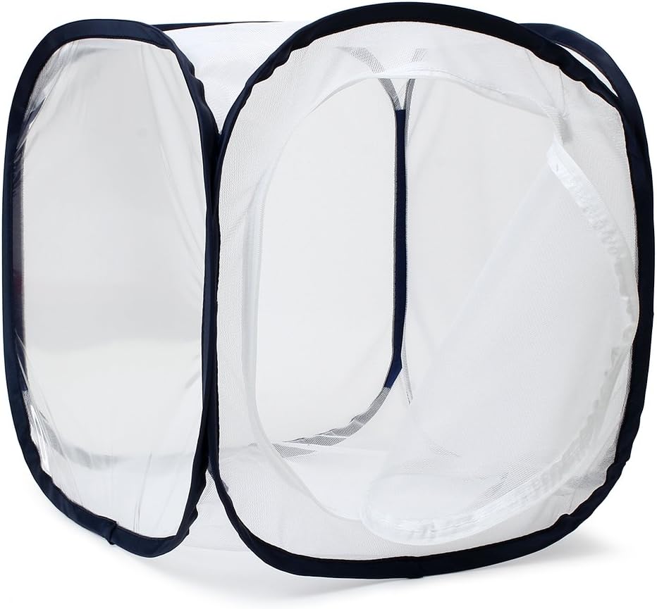 Insect and Butterfly Habitat Cage Terrarium Pop-up 12 X 12 X 12 Inches