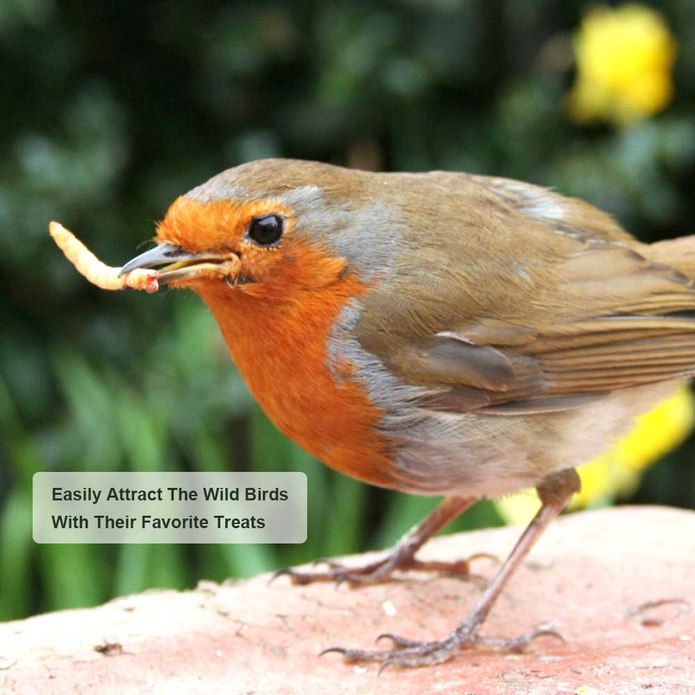 20lbs Mealworms, High-Protein Dried Mealworms for Birds, Chickens, Turtles, Fish, Hamsters and Hedgehogs, Non-GMO and Chemical Free, All Natural Animal Feed