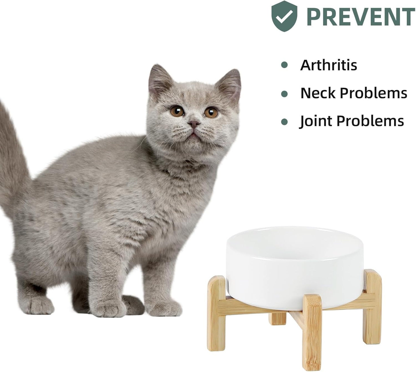 Ceramic Raised Dog and Cat Bowl Set, 2 Heights Elevated Stand, Food and Water Bowl for Small Breed Dogs, Cats, Kitty, Weighted Dog Dishes, Pet Bowls(5.1'',13.5oz, White)