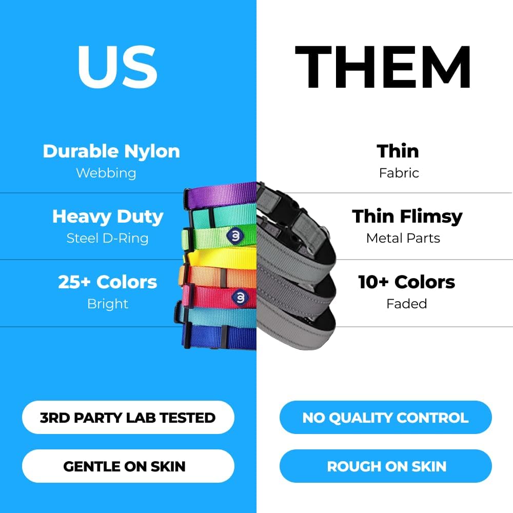 Blueberry Pet Essentials Small Dog Collar in Fuchsia Pink | Adjustable & Eco-Friendly Durable Nylon Strap | Classic Collar for Small Dogs, Boy & Girl Pets