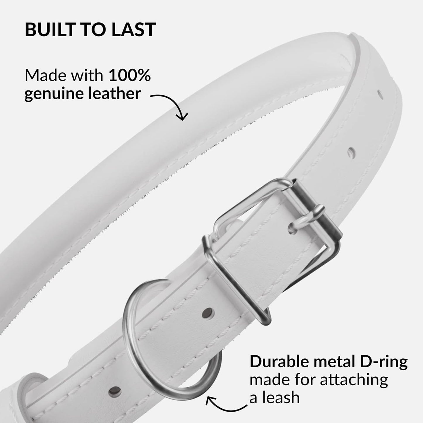 CollarDirect Rolled Leather Dog Collar, Soft Padded Round Puppy Collar, Handmade Genuine Leather Collar Dog Small Large Cat Collars 13 Colors (15-19 Inch, White Smooth)