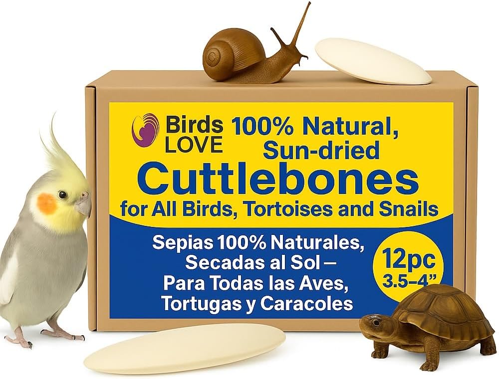 Birds LOVE Natural Cuttlebone – Premium Calcium & Trace Mineral Supplement for Avian Species, Tortoises, and Snails – Pure Cuttlebone for Parakeets and All Birds - 12 Pack, Size 3.5 to 4"