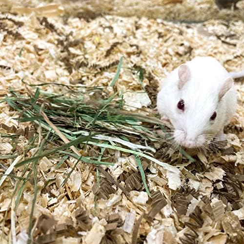 Blue Mountain Hay | Fresh Alfalfa Hay (40 Ounce) | High Leaf Retention | Nutritious High-Altitude Hay Pet Food for Rabbits, Guinea Pigs, Chinchillas, Hamsters, and Other Small Pets