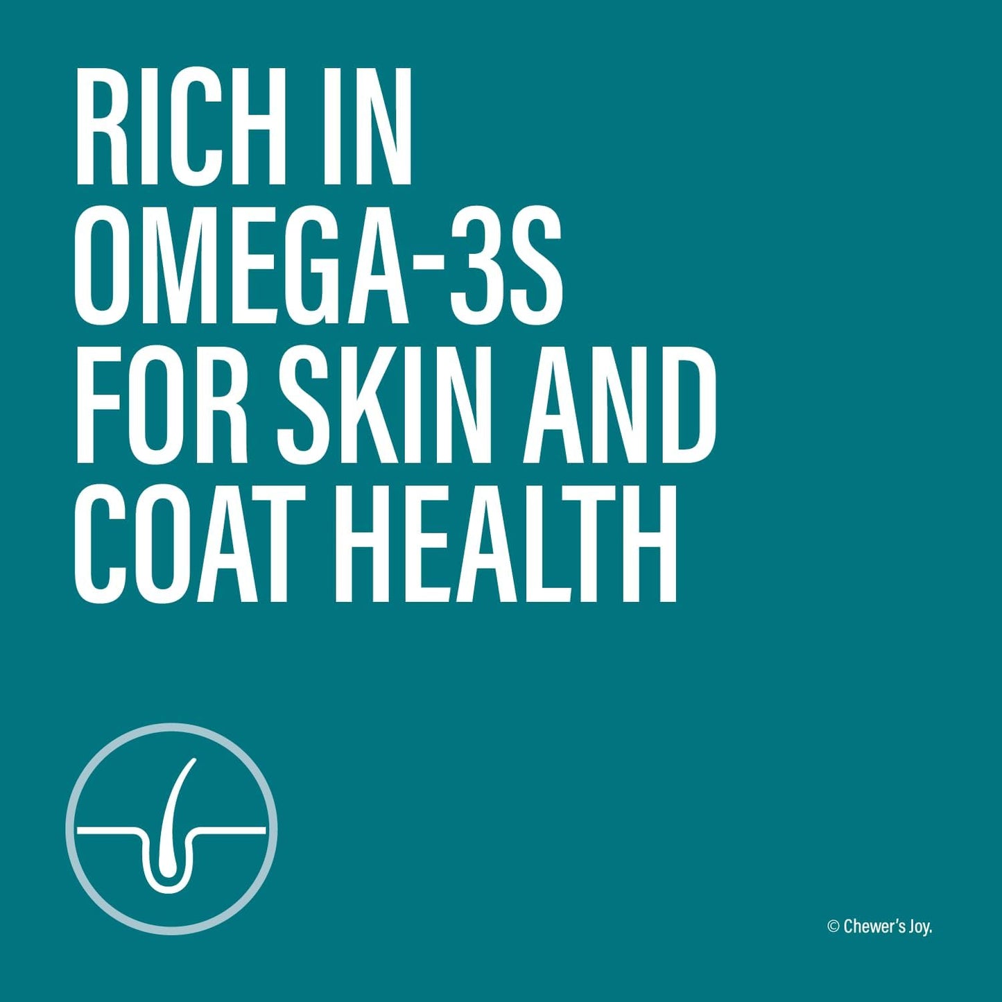 Chewer's Joy Wet Cat Food Variety Pack – 3 Flavors: Tuna & Salmon, Chicken & Turkey – Natural Pâté – High Protein – Grain Free – Complete & Balanced Nutrition – 12 Cans (3 oz)