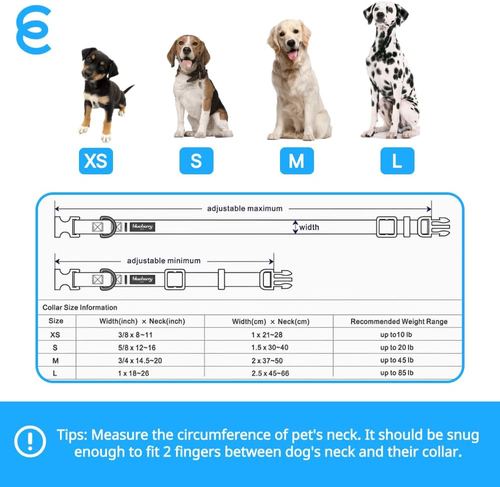 Blueberry Pet Essentials Small Dog Collar in French Pink | Adjustable & Eco-Friendly Durable Nylon Strap | Classic Collar for Small Dogs, Boy & Girl Pets