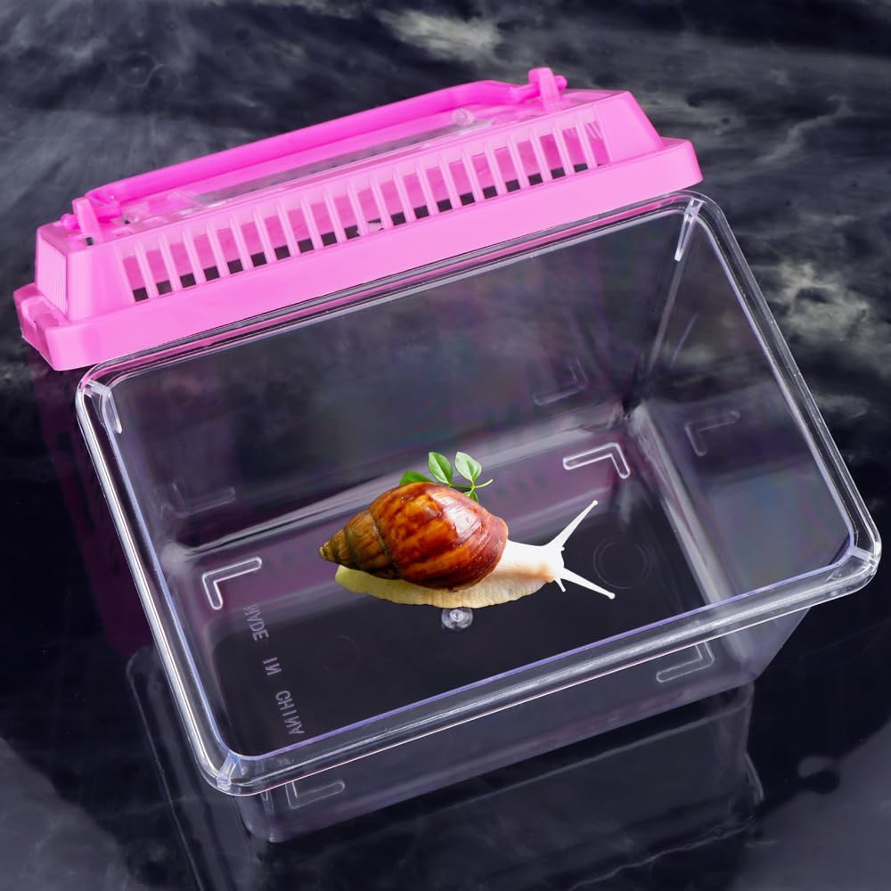 20 Pack Small Plastic Reptile Carrier Tarantula Enclosure Snake Breeding Box Hatching Container for Spider Fish Turtle Hermit Crab Bearded Dragon Lizard (5.1 x 3.5 x 3.5 Inch)