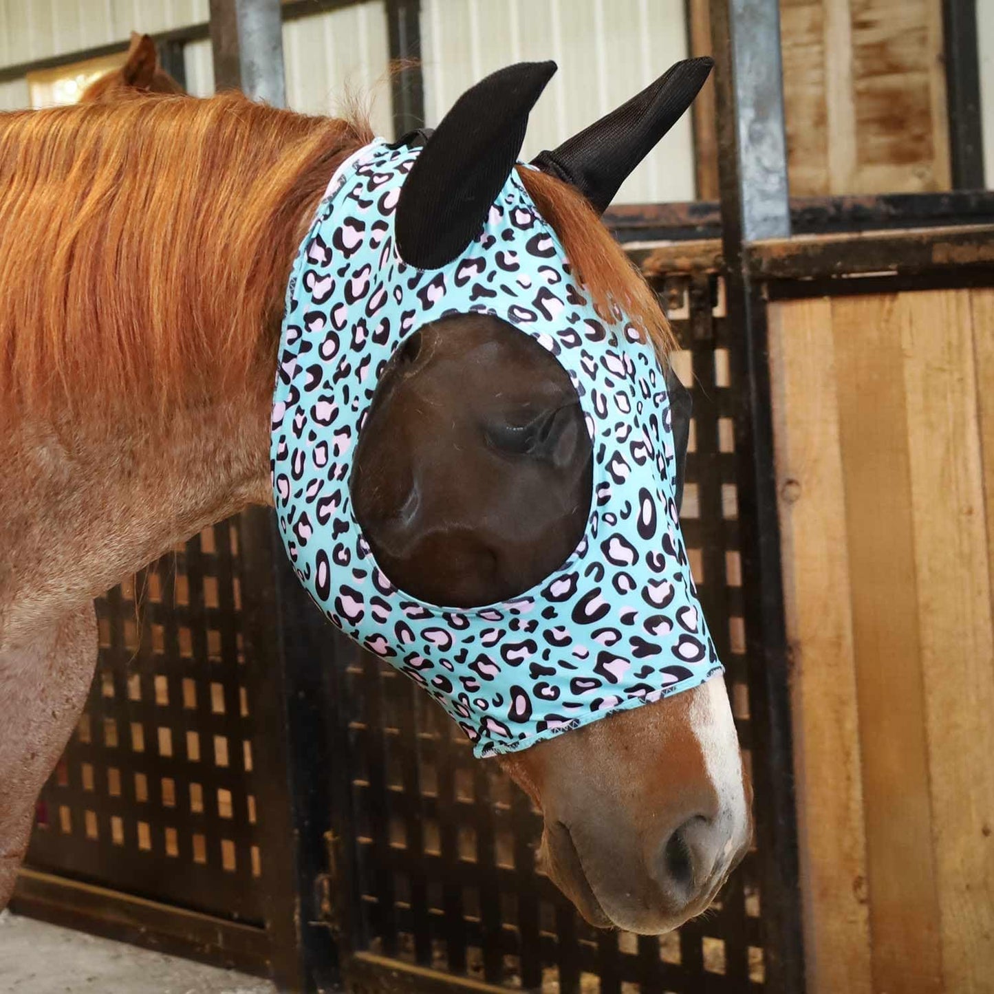 Jeffers Expression Lycra Horse Fly Mask – Oversize, Party Cheetah – Lightweight Stretch Horse Mask with Mesh Eyes & Ears, Breathable Lycra Mask for Horses, Equine Summer Apparel & Gear
