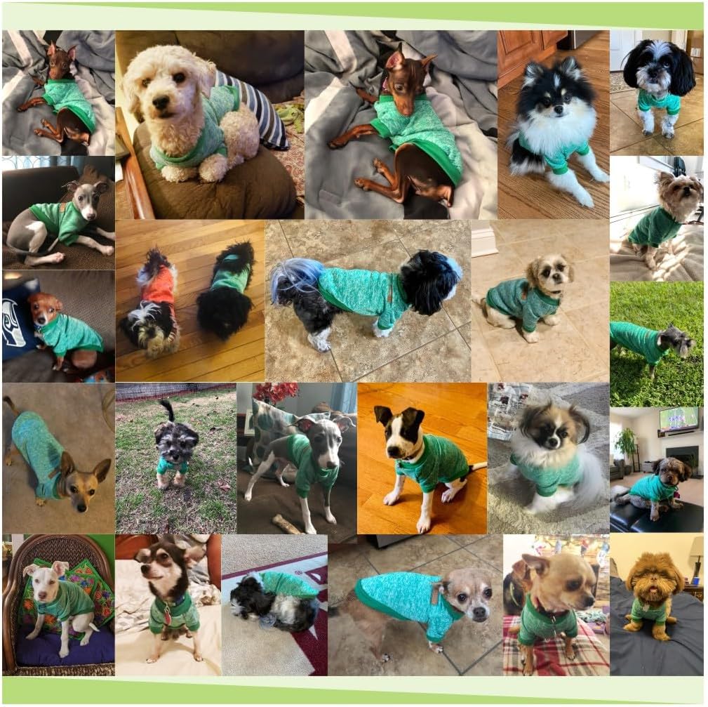 Jecikelon Dog Clothes Dogs Sweater Soft Puppies Clothing Winter Puppy Sweaters Warm Outfit for Dogs Small XXS XS Cat Apparel (Green, S)