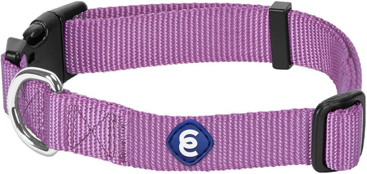 Blueberry Pet Essentials Matching Medium Dog Collar | Adjustable Classic Solid Color Nylon Dog Collars for Medium Dogs | Purple Dog Collar for Medium Dogs