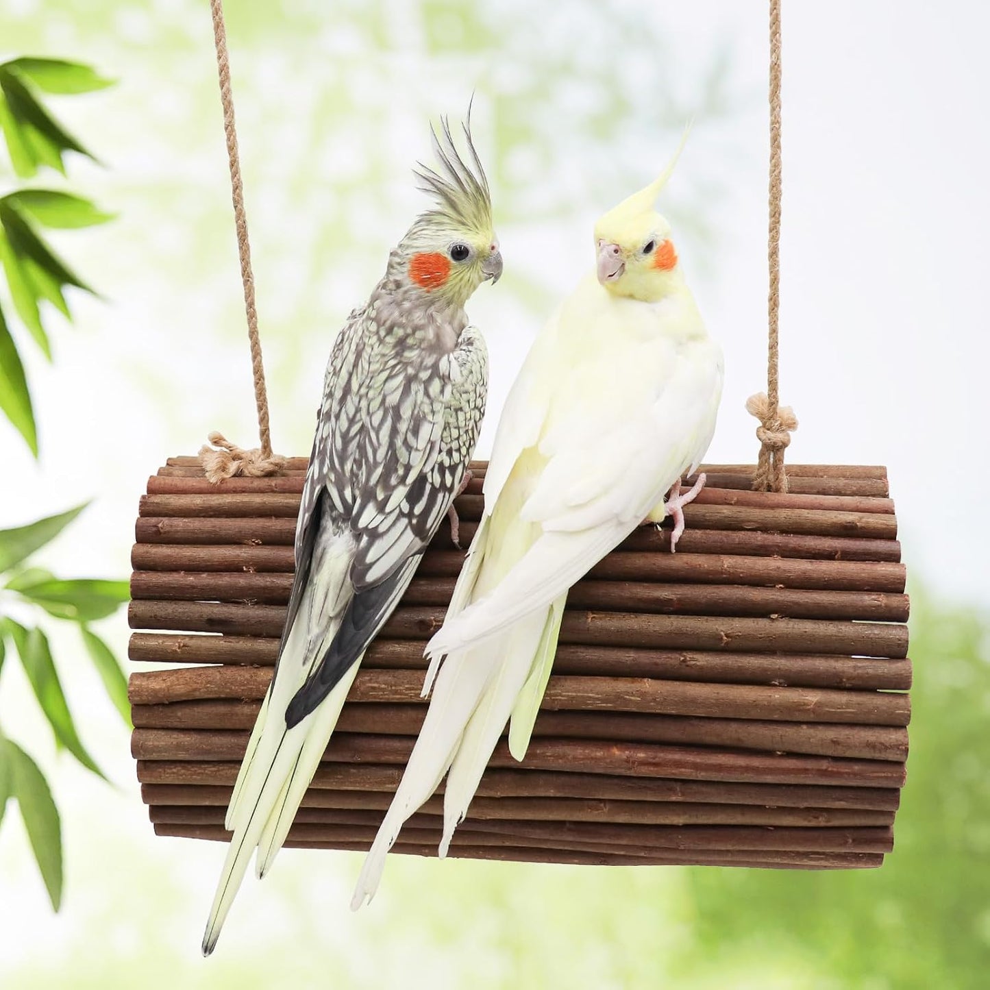 Bird Parrot Swing Toys, Hanging Bird Perch Stand, Natural Willow Wood Parrot Hammock, Bird Cage Accessories, Suitable for Little Bird Parakeets Cockatiels Lovebirds Hamster Rat (6.3" in Diameter)