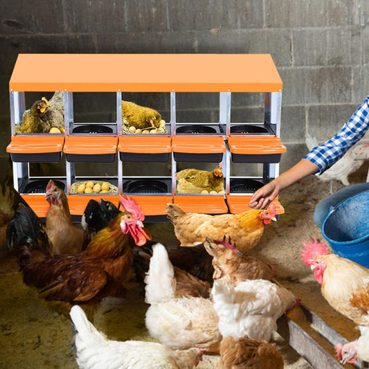Chicken Nesting Boxes, 10 Hole Metal Chicken Laying Box with with Removable Trays and Roll Out Egg Collection for Chicken Coop, Orange