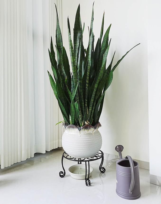 2 Pack Heavy Duty Iron Plant Stand, 11.8'' Diameter, 6'' Tall, Black, Powder Coated, Round, Sturdy & Stable, Indoor/Outdoor, No Assembly Required