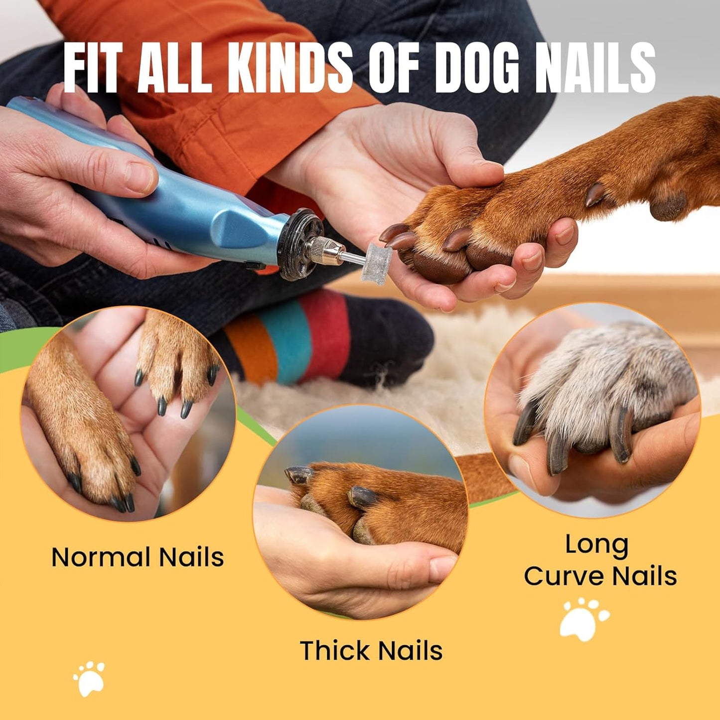 CAELUM Diamond-Coated Pet Nail Grinder Bit, 1/8” Shank for Dremel Nail Tools, Durable & Low-Noise Nail Trimmer for Dogs, Top & Side Grinding, Gentle, Precise Nail Grooming（80grit）