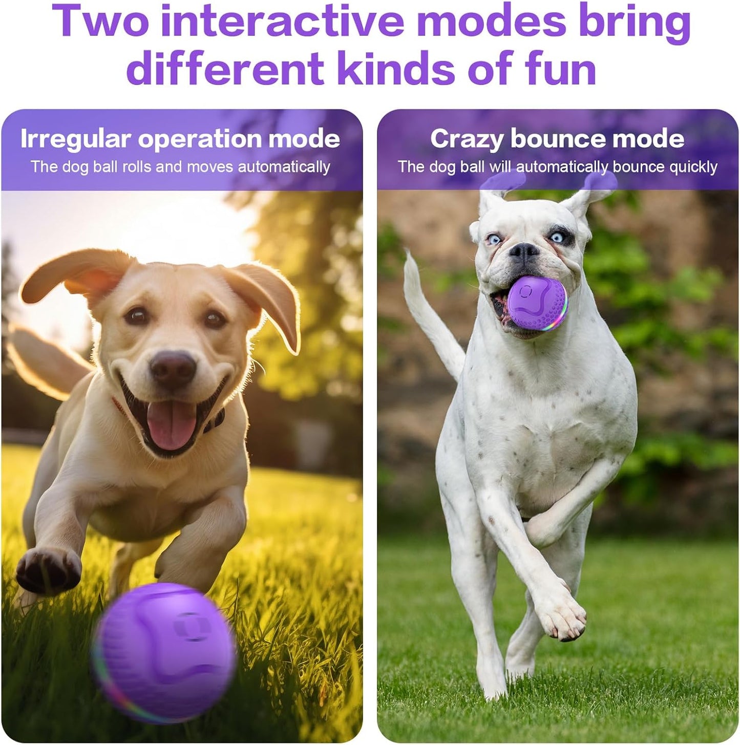 Interactive Dog Toys Ball, Automatic Rolling Toy, Lively pet Ball for Medium/Large Dogs to Relieve Boredom, Activated Automatic Motion Dog Balls Toy with LED Flash, USB Rechargeable (Purple-2)