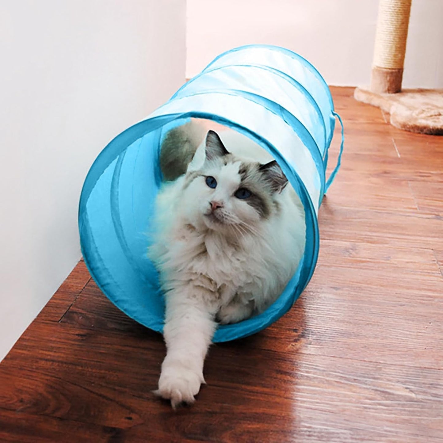 iCAGY Cat Tunnel for Indoor Cats, Pet Cat Kitten Rabbit Play Toys Tube Tunnel Interactive Crinkle Pop Up 20"