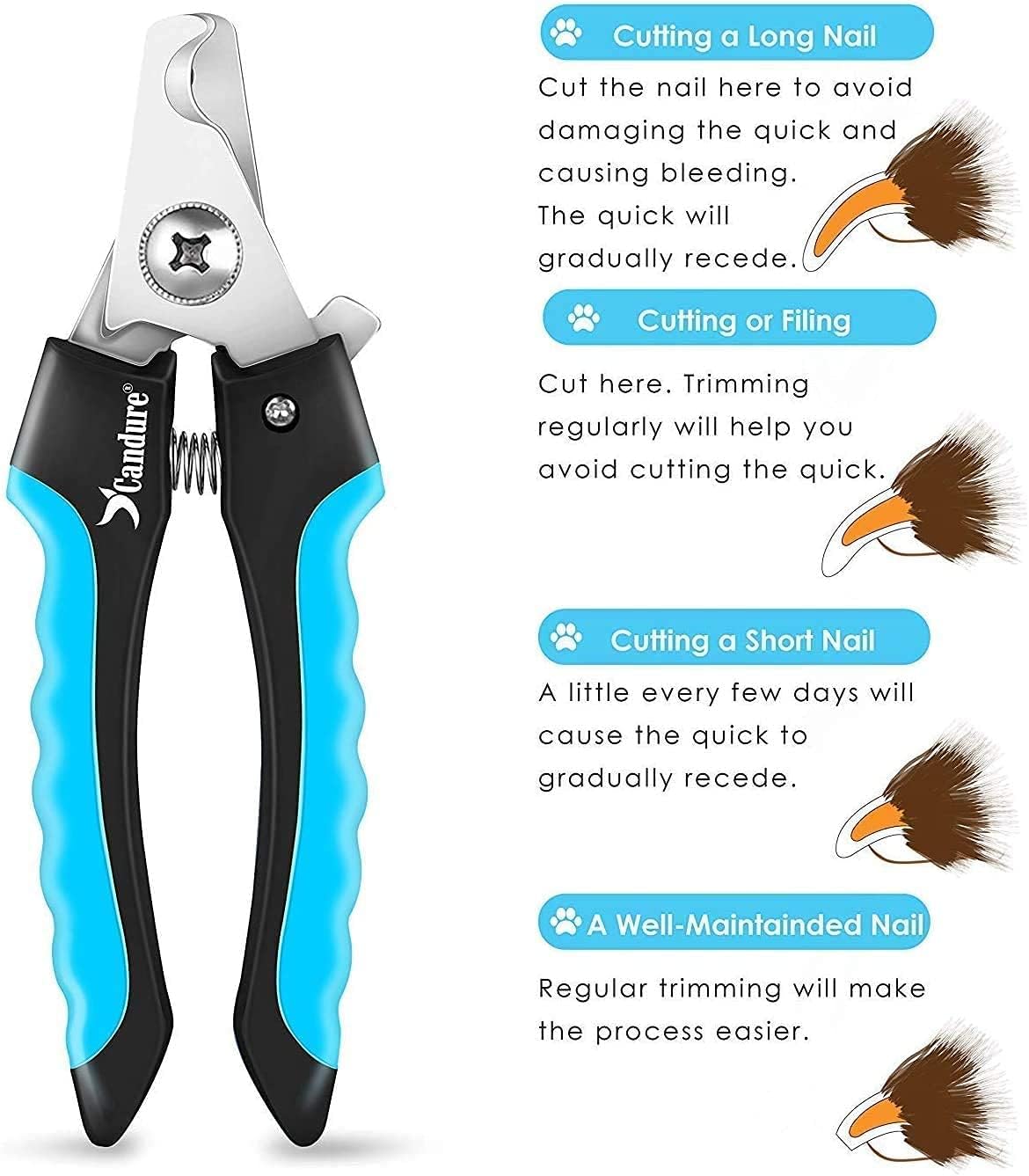 Candure Dog Nail Clippers and Trimmer with Safety Guard to Avoid Over-Cutting Toe Nails Professional Grooming Pet Nail Clipper with Nail File for Small Medium-Large Breeds