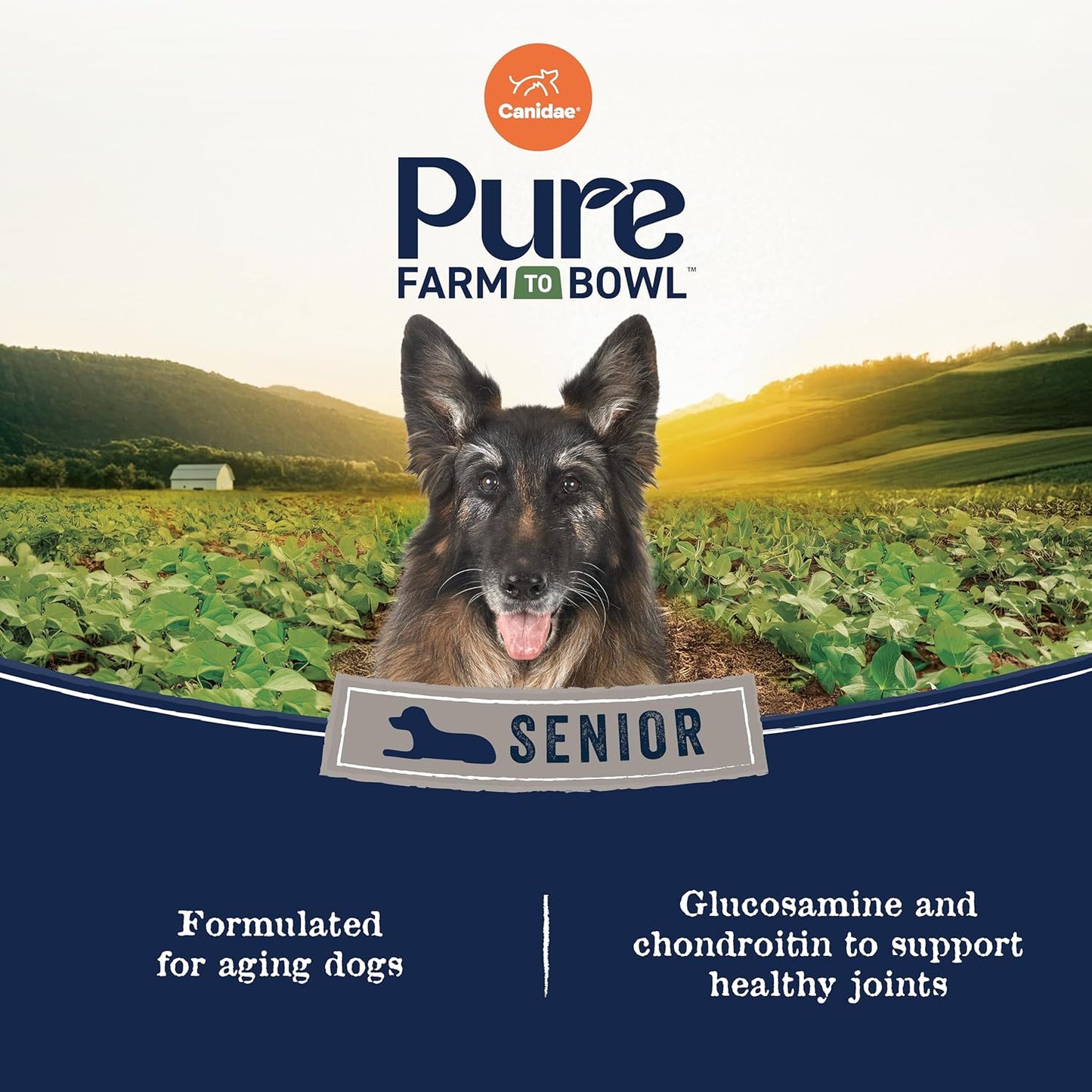 Canidae Pure Farm to Bowl Free-Range Chicken, Sweet Potato & Garbanzo Bean Grain-Free Senior Dog Food, Adult 22lb