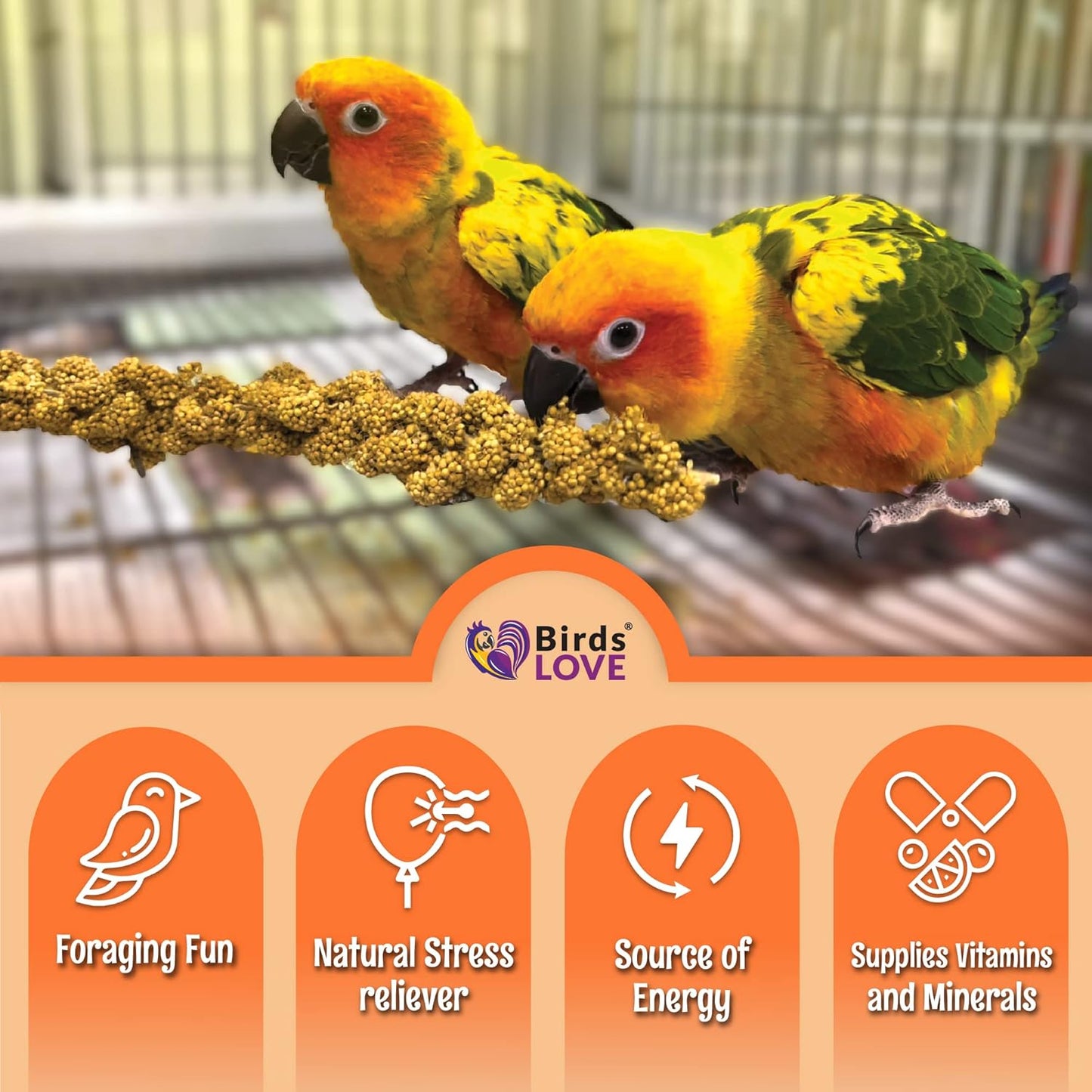 Birds LOVE Wholesome & Lovely Spray Millet | GMO Free (No Stems Only Edible Tops) for Parrots Birds Cockatiel Lovebird Parakeet Finch Canary All Parrots Healthy Treat -25lbs