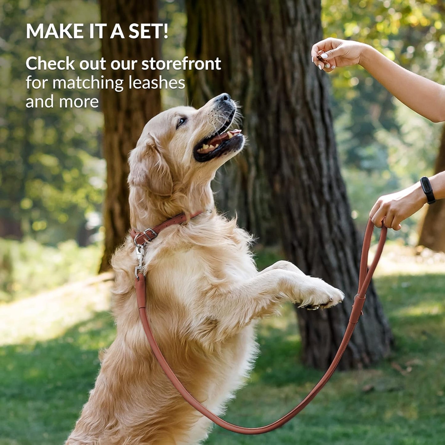 CollarDirect Rolled Leather Dog Collar, Soft Padded Round Puppy Collar, Handmade Genuine Leather Collar Dog Small Large Cat Collars 13 Colors (15-19 Inch, Cinnamon Smooth)