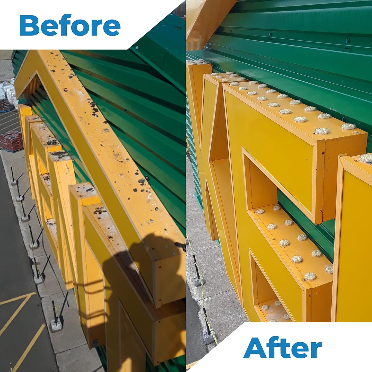 Bird Barrier Dissolve-It Max Enzyme Cleaner - Bird Dropping Cleaner - Dissolves Waste – Treat Affected Areas Before Installing Bird Control Products - Cleans pet stains - 1 Pint Makes 1/2 Gallon